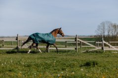 Nepromokavá deka pro koně EQUITHÈME - TYREX 600D 50g zelená
