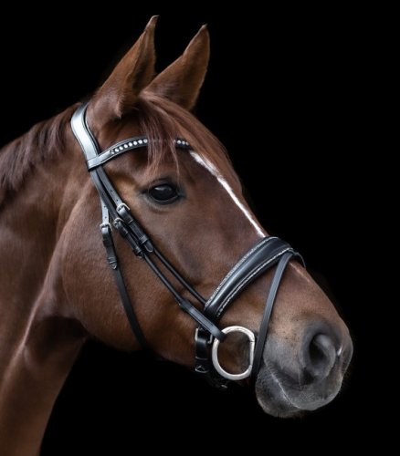 Waldhausen S-Line Snaffle Bridle, Glamour