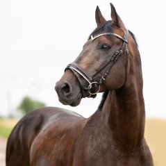 Kožená uzdečka Horze Grayson