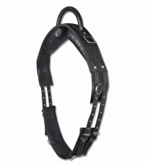 Lunging harness with handle