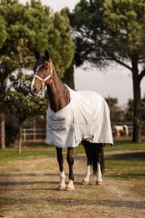 Nevada 600D Turnout Rug, 0g