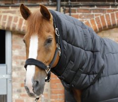 Unterdecke für Pferde mit Halsstück Premier Equine 100g