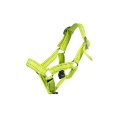 Reflective halter for Hobby horsing HKM Kids