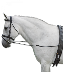 Elastic bridle reins
