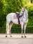 Set EQUESTRIAN STOCKHOLM Modern Midsummer Blush