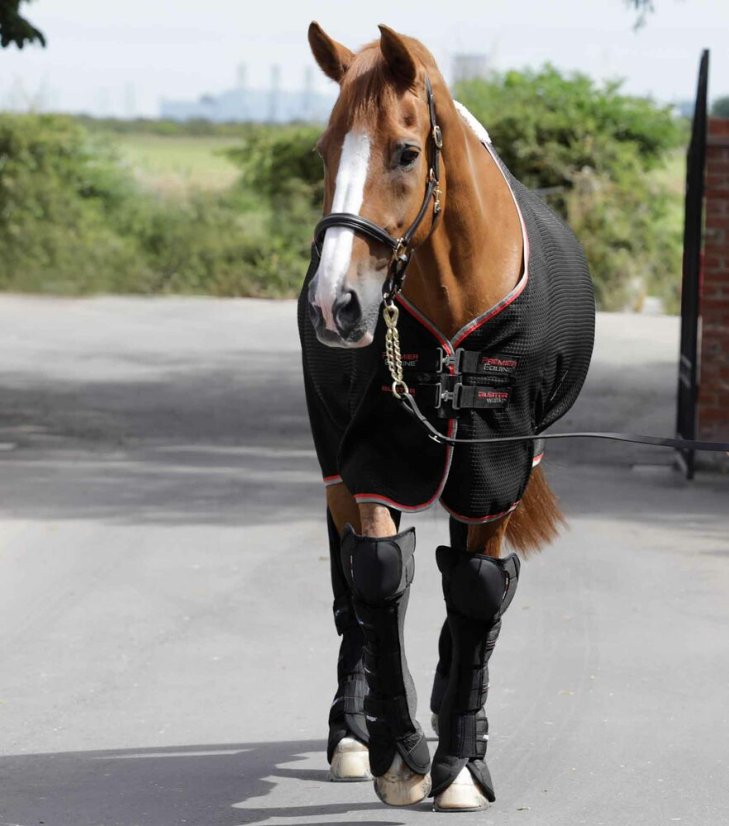 Přepravní kamaše Premier Equine Airtechnology Knee Pro-Tech