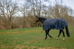 Nepromokavá deka pro koně EQUITHÈME Anatomic Combo 1200D 0g