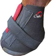 Ponožky pro koně F.R.A. Cavallo