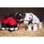 Set pro Cuddle pony HKM
