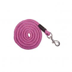 HKM Aachen leash with classic carabiner