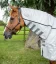 Síťová/ nepromokavá deka proti hmyzu s krčním dílem Premier Equine ShowerTex