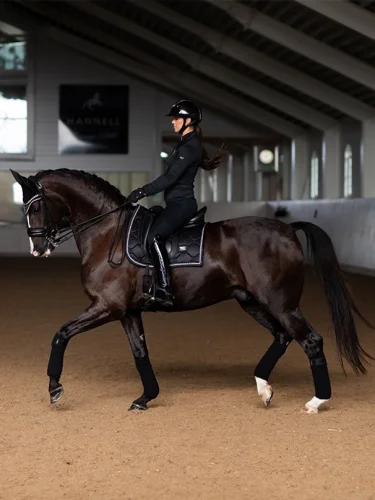 Dressage saddle pad Equestrian Stockholm Black Edition