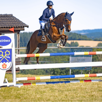 Ausrüstung für Pferd und Reiter im englischen Stil.