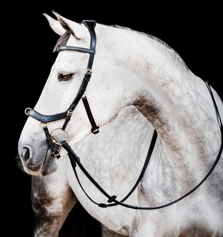 Uzdečka Horseware Micklem 2 Multi