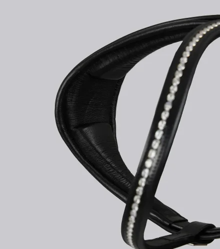 San Paolo Anatomical Bridle