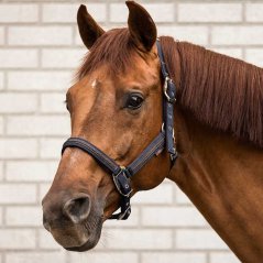 Headcollar LAMI-CELL Vintage