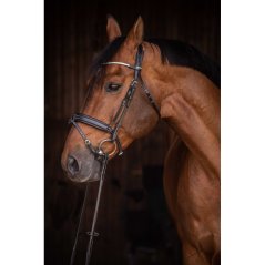 Kožená uzdečka Daily Strass PENELOPE