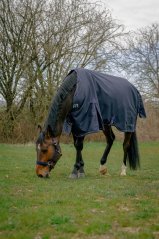 Nepromokavá deka pro koně EQUITHÈME Anatomic Combo 1200D 0g