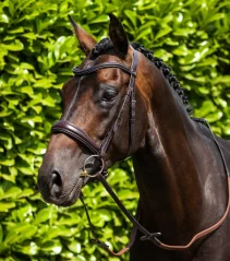 Premier Equine Ravenna Liscio Stirnband