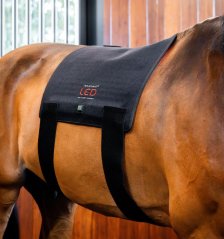 Deka Horseware LED Red Light Therapy