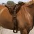 NORTON „CONFORT“ BAREBACK-REITPOLSTER