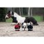 Cuddle Pony HKM