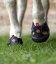 Trekingové botičky Equine Fusion® Slim