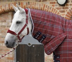 Stájová deka pro koně s krčním dílem Premier Equine Domus 200g