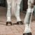 Cirkulační bandáže pro koně INCREDIWEAR EQUINE