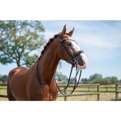 Dressage bridle HKM Kate