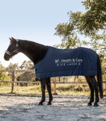 Cooling blanket Waldhausen W-health & care Ice Layer