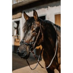 Nasenschutz EQUITHÈME 50% UV