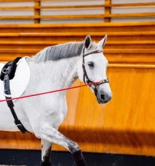 Uzdečka Horseware Micklem 2 Multi