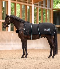 Waldhausen Health + Care TecSupreme Heiz- und Massagedecke