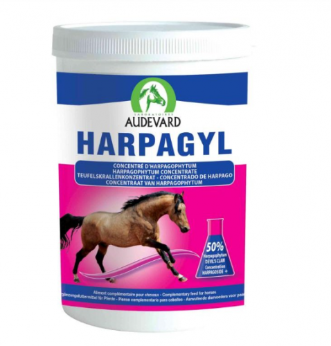 HARPAGYL 450G + TIFENE POMMADE 250 ML - na ztuhlé koně a chronickou bolest
