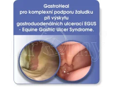 Dromy GastroHeal CONCENTRATE 3 kg - 60 TÄGLICHE DOSIERUNG