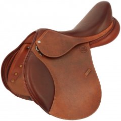 Saddle Evolution ERIC THOMAS