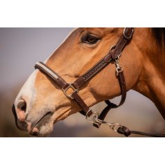 Penelope Harmony leather halter