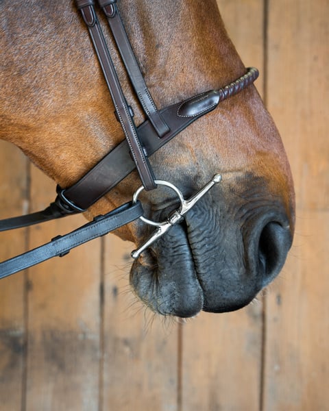 Roubík FAGER GUSTAV Sweet Iron