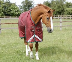 Nepromokavá výběhová deka pro koně Premier Equine Titan 100g