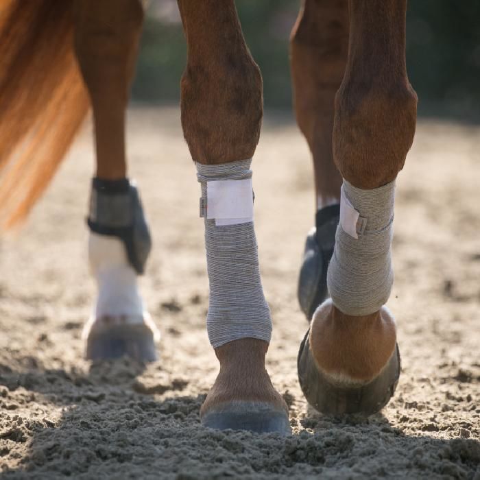 Cirkulační bandáže pro koně INCREDIWEAR EQUINE