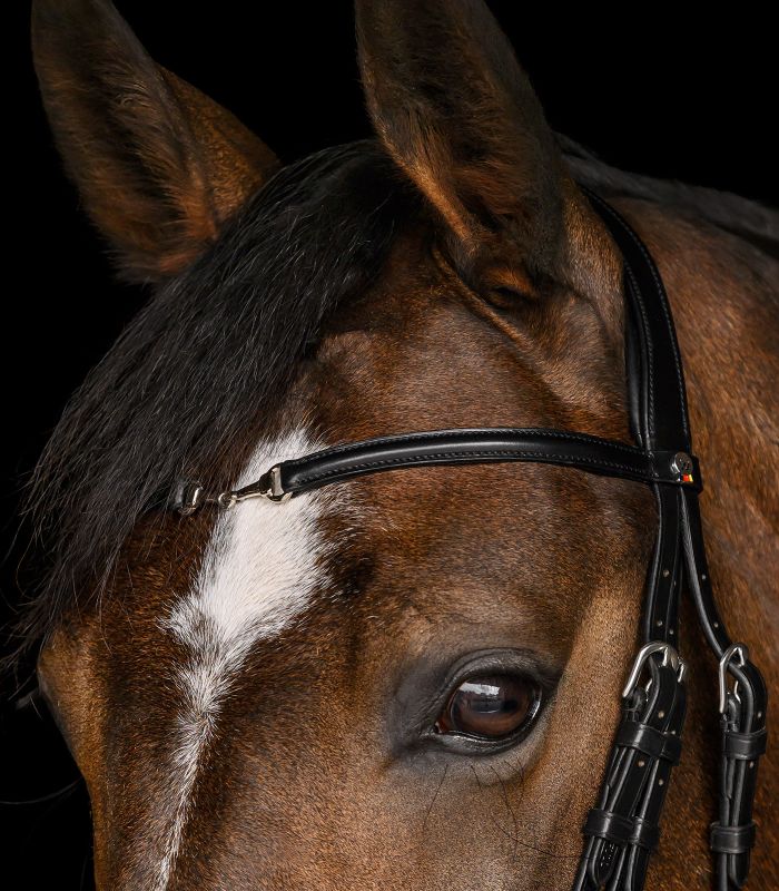 Anatomická uzdečka Waldhausen X-Line Charmbit