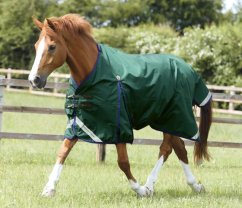 Nepromokavá výběhová deka pro koně Premier Equine Buster
