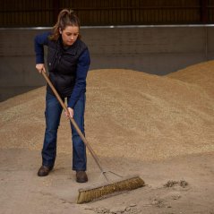 Ariat Rebar Washed Twill Arbeitshemd für Damen