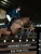 Set EQUESTRIAN STOCKHOLM Blue Meadow Glimmer