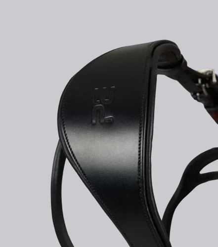 San Paolo Anatomical Bridle