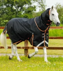 Waterproof paddock blanket for horses Premier Equine Titan with neck piece 300g