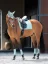 Čabraka na uši Equestrian Stockholm Modern Mint Green