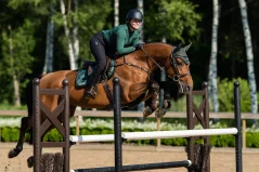 Set EQUESTRIAN STOCKHOLM Sycamore Green