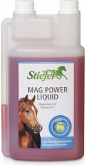 Stiefel Mag Power liquid 1l